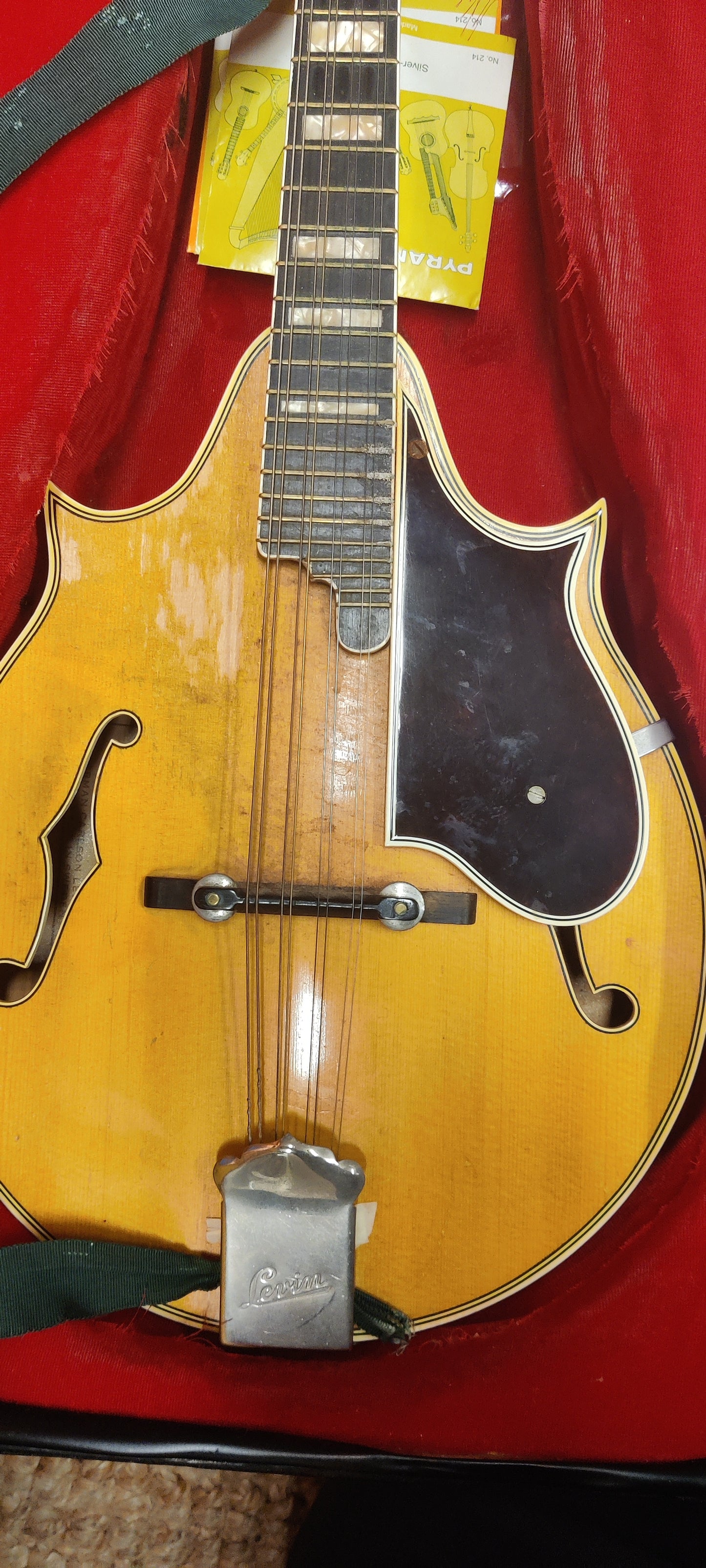 Levin 40N mandolin & case (used) - Aron Soitin